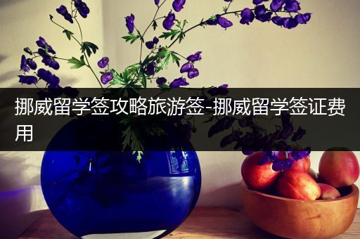 挪威留学签攻略旅游签-挪威留学签证费用