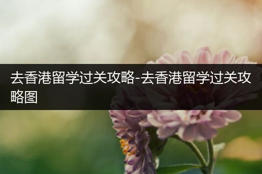 去香港留学过关攻略-去香港留学过关攻略图