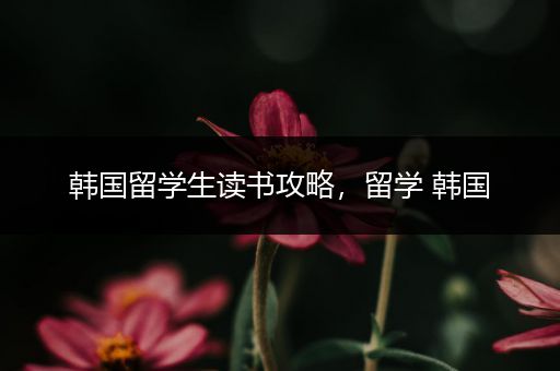 韩国留学生读书攻略，留学 韩国