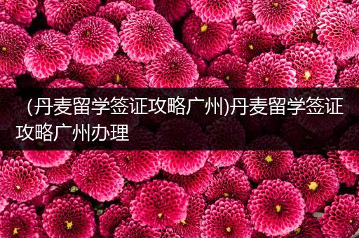 （丹麦留学签证攻略广州)丹麦留学签证攻略广州办理