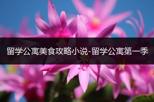 留学公寓美食攻略小说-留学公寓第一季