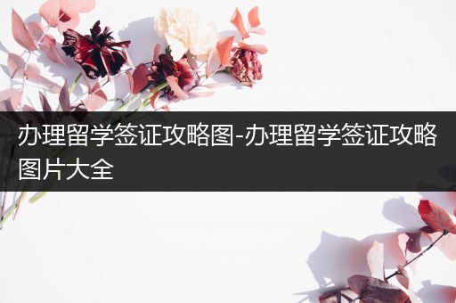 办理留学签证攻略图-办理留学签证攻略图片大全