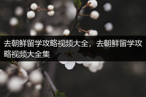 去朝鲜留学攻略视频大全，去朝鲜留学攻略视频大全集