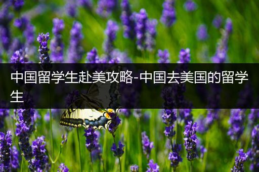 中国留学生赴美攻略-中国去美国的留学生