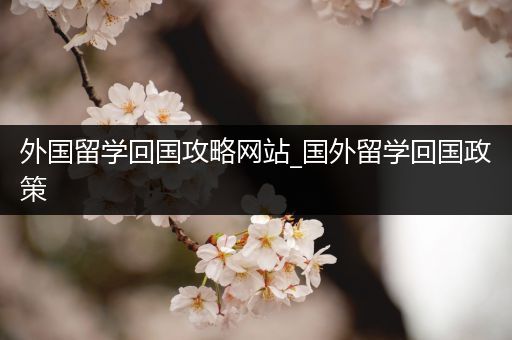 外国留学回国攻略网站_国外留学回国政策