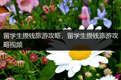 留学生攒钱旅游攻略，留学生攒钱旅游攻略视频