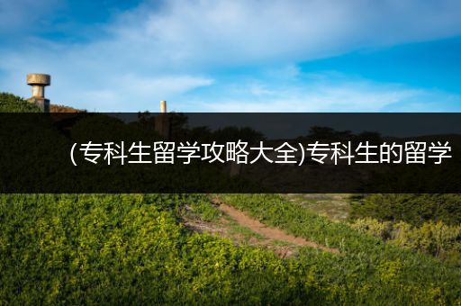 （专科生留学攻略大全)专科生的留学