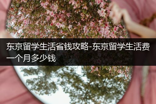 东京留学生活省钱攻略-东京留学生活费一个月多少钱