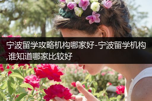 宁波留学攻略机构哪家好-宁波留学机构,谁知道哪家比较好