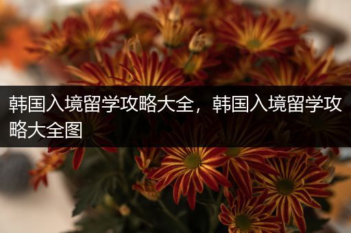 韩国入境留学攻略大全，韩国入境留学攻略大全图