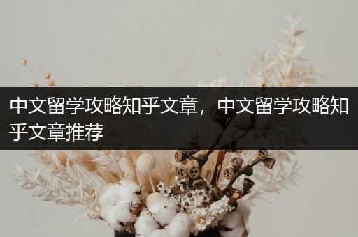 中文留学攻略知乎文章，中文留学攻略知乎文章推荐