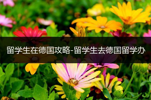 留学生在德国攻略-留学生去德国留学办