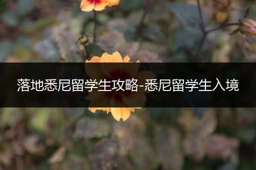 落地悉尼留学生攻略-悉尼留学生入境