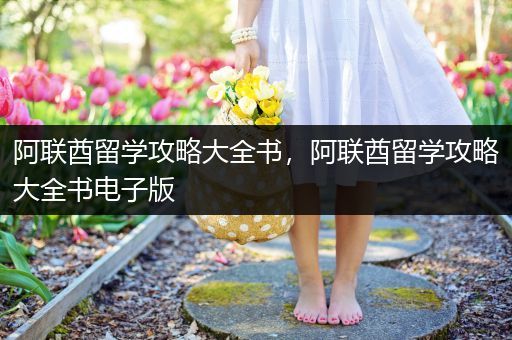 阿联酋留学攻略大全书，阿联酋留学攻略大全书电子版