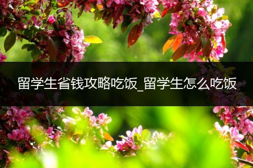 留学生省钱攻略吃饭_留学生怎么吃饭