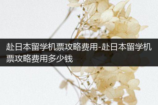 赴日本留学机票攻略费用-赴日本留学机票攻略费用多少钱