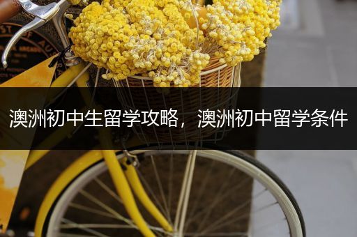 澳洲初中生留学攻略，澳洲初中留学条件
