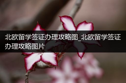 北欧留学签证办理攻略图_北欧留学签证办理攻略图片