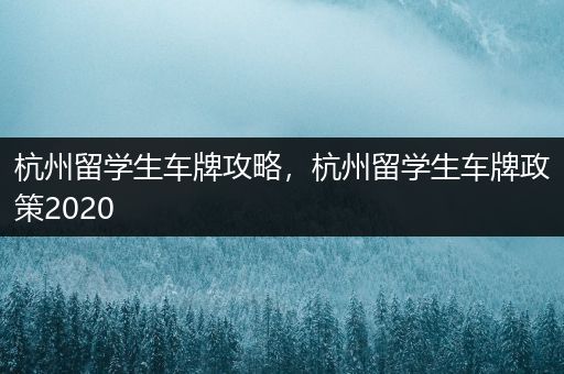 杭州留学生车牌攻略，杭州留学生车牌政策2020