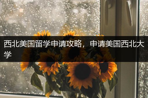 西北美国留学申请攻略，申请美国西北大学