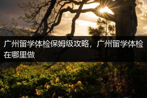广州留学体检保姆级攻略，广州留学体检在哪里做