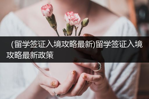 （留学签证入境攻略最新)留学签证入境攻略最新政策