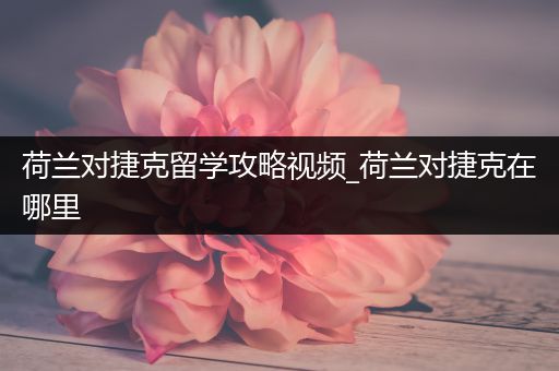 荷兰对捷克留学攻略视频_荷兰对捷克在哪里