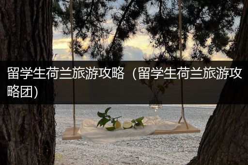 留学生荷兰旅游攻略（留学生荷兰旅游攻略团）