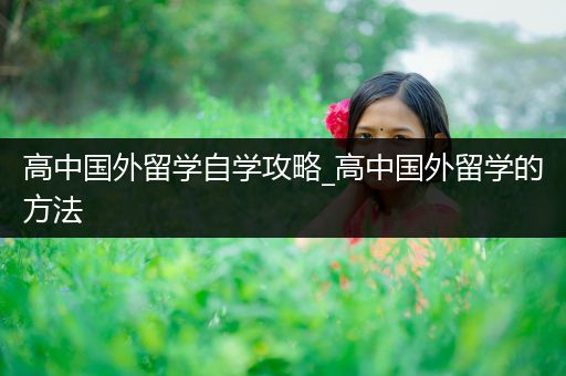 高中国外留学自学攻略_高中国外留学的方法