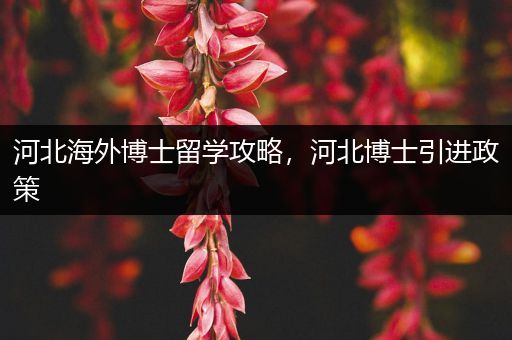 河北海外博士留学攻略，河北博士引进政策
