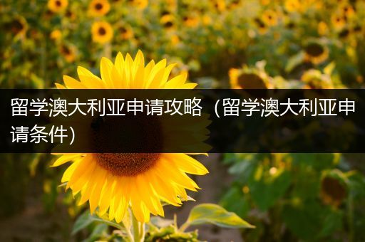 留学澳大利亚申请攻略（留学澳大利亚申请条件）