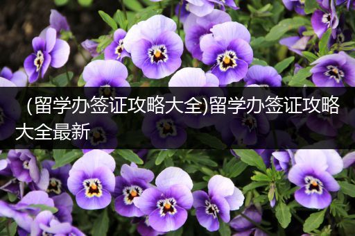 （留学办签证攻略大全)留学办签证攻略大全最新