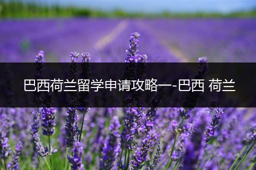 巴西荷兰留学申请攻略一-巴西 荷兰