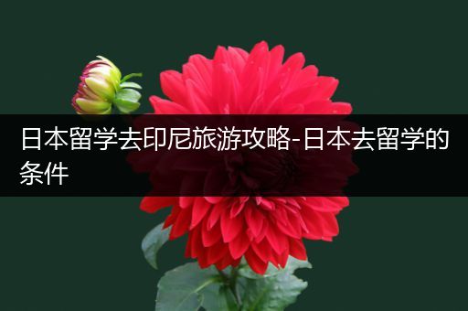 日本留学去印尼旅游攻略-日本去留学的条件