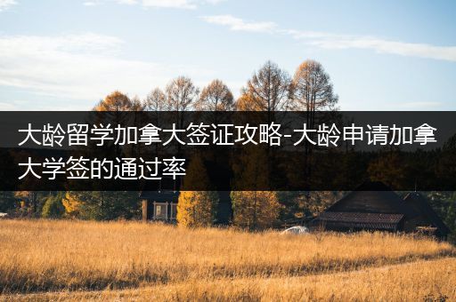 大龄留学加拿大签证攻略-大龄申请加拿大学签的通过率
