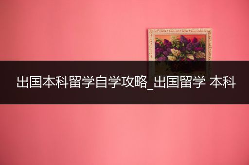 出国本科留学自学攻略_出国留学 本科