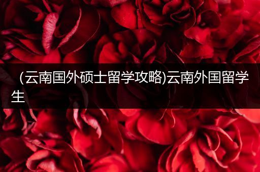 （云南国外硕士留学攻略)云南外国留学生