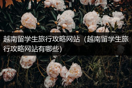 越南留学生旅行攻略网站（越南留学生旅行攻略网站有哪些）