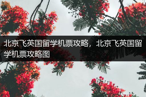 北京飞英国留学机票攻略，北京飞英国留学机票攻略图