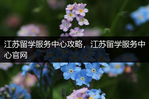 江苏留学服务中心攻略，江苏留学服务中心官网