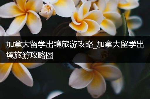 加拿大留学出境旅游攻略_加拿大留学出境旅游攻略图