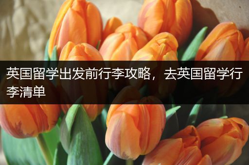 英国留学出发前行李攻略，去英国留学行李清单