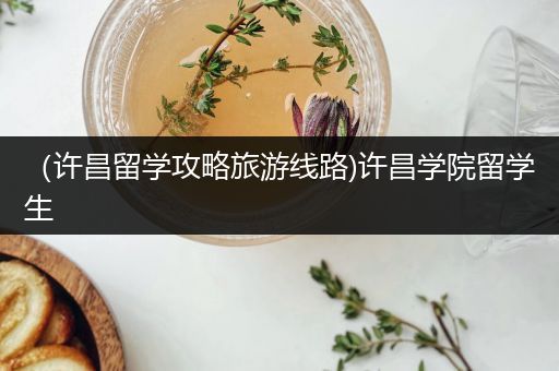 （许昌留学攻略旅游线路)许昌学院留学生