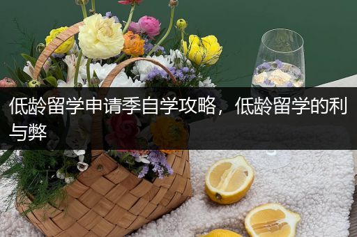 低龄留学申请季自学攻略，低龄留学的利与弊