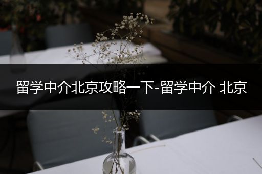 留学中介北京攻略一下-留学中介 北京