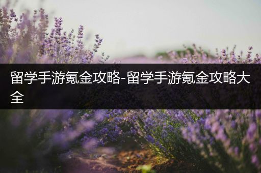 留学手游氪金攻略-留学手游氪金攻略大全