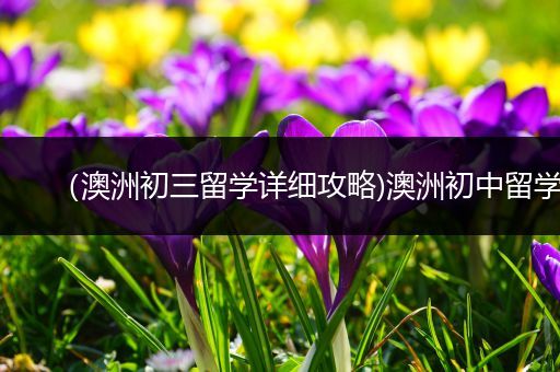 （澳洲初三留学详细攻略)澳洲初中留学