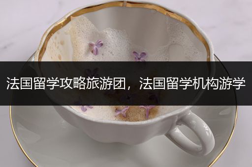 法国留学攻略旅游团，法国留学机构游学