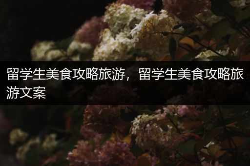 留学生美食攻略旅游，留学生美食攻略旅游文案