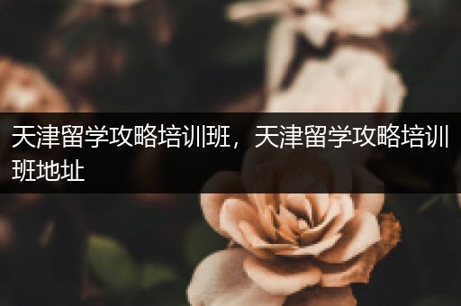 天津留学攻略培训班，天津留学攻略培训班地址
